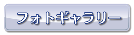 tHgM[